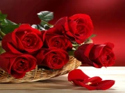 Red Roses Puzzle Online Puzzle Games on taptohit.com