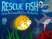Rescue Fish Online Casual Games on taptohit.com