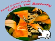 Round jigsaw Puzzle - Collect the Butterfly Online puzzle Games on taptohit.com
