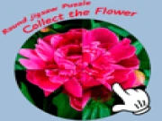 Round jigsaw Puzzle - Collect the Flower Online puzzle Games on taptohit.com