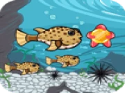 Run Fish Run Online animal Games on taptohit.com