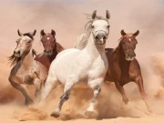 Running Horse Slide Online Puzzle Games on taptohit.com