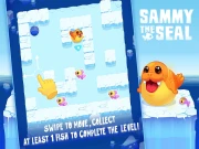 Sammy The Seal Online Casual Games on taptohit.com