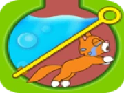 Save kitten Online animal Games on taptohit.com