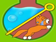 Save the Kitten Online Adventure Games on taptohit.com