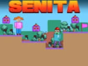 Senita Online adventure Games on taptohit.com