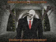 Slenderman Must Die: Underground Bunker 2021 Online Adventure Games on taptohit.com