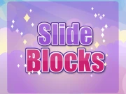 Slide blocks Puzzle