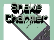 Snake Charmer Online .IO Games on taptohit.com