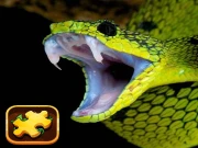 Snake Puzzle Challenge Online Puzzle Games on taptohit.com
