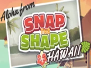 Snap the Shape: Hawaii Online Casual Games on taptohit.com