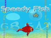 Speedy Fish Online Puzzle Games on taptohit.com