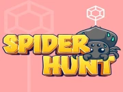 Spider Hunt Online Casual Games on taptohit.com