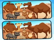 Spot 5 Differences Deserts Online Puzzle Games on taptohit.com