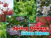 Spring Flowers: Hidden Objects Online Casual Games on taptohit.com