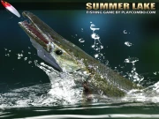 Summer lake 1.5 Online Sports Games on taptohit.com