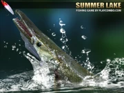 Summer lake Online Sports Games on taptohit.com