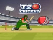 T20 Cricket Online sports Games on taptohit.com
