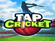 Tap Cricket Online Sports Games on taptohit.com