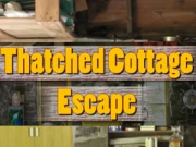 Thatched Cottage Escape Online Adventure Games on taptohit.com