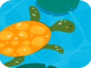 Turtle Math Online math Games on taptohit.com