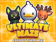 Ultimate maze! Collect them all! Online Adventure Games on taptohit.com