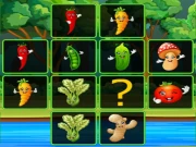 Vegetable Cards Match Online Cards Games on taptohit.com