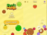 Watermelon Fruit 2048 Online Arcade Games on taptohit.com