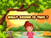 What sound is this? Online kids Games on taptohit.com