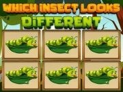 Which Insect Looks Different Online Puzzle Games on taptohit.com