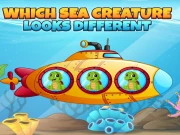 Which Sea Creature Looks Different Online Puzzle Games on taptohit.com