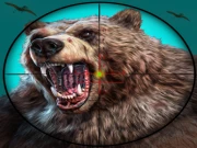Wild Bear Hunting Game Online Casual Games on taptohit.com