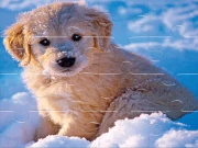 Winter Pets Puzzle Online Puzzle Games on taptohit.com