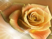 Yellow Roses Puzzle Online Puzzle Games on taptohit.com