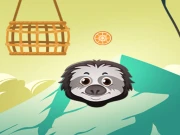 Zoo Slings Online Casual Games on taptohit.com